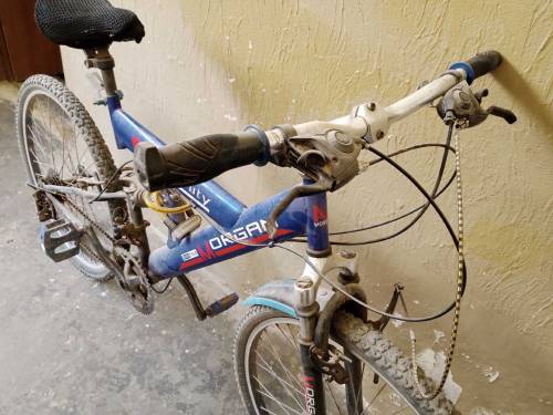 organ bicycle