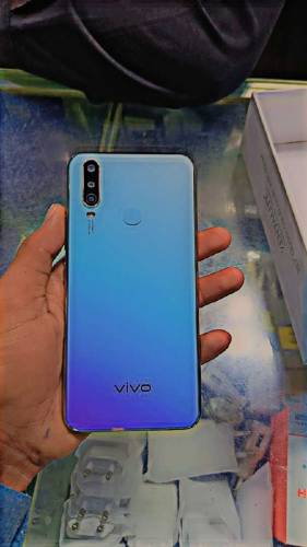 Vivio y 17