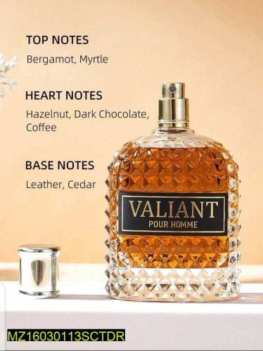 Long Lasting Fragrance Men's Perfume,100Ml