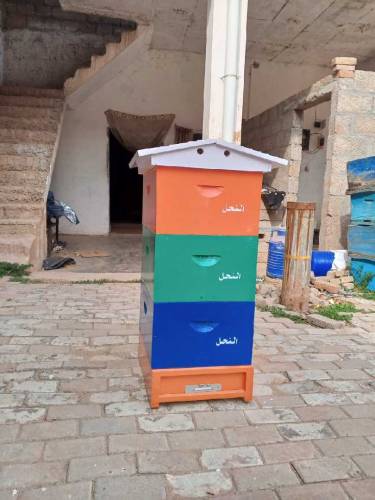 افغان ماڈل beehives 👆