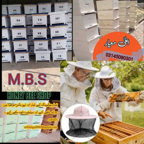 افغان ماڈل beehives 👆