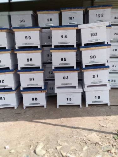 افغان ماڈل beehives 👆