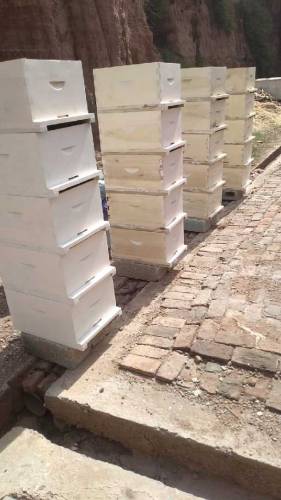 افغان ماڈل beehives 👆