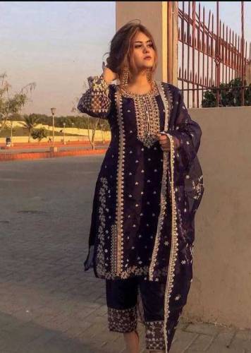 Women 3Pc Organza Embroidered Suit.