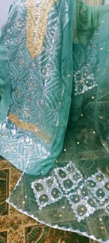 Fabric soft silk puir organza Aplic and Gota work 