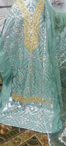 Fabric soft silk puir organza Aplic and Gota work 