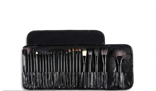Professional Makeup Brush Kit 24 Pcs