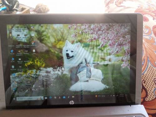 laptop for Sale