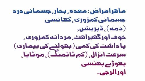 Dr Muhammad Zakwan , Clinical Pharmacist medicine and diseases expert