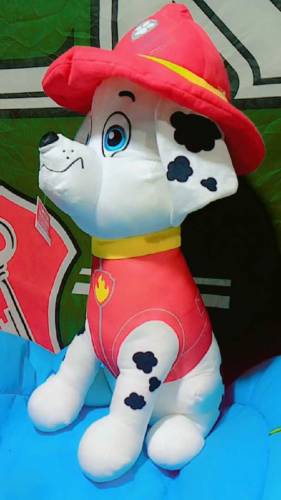 paw patrol for boys are available here 