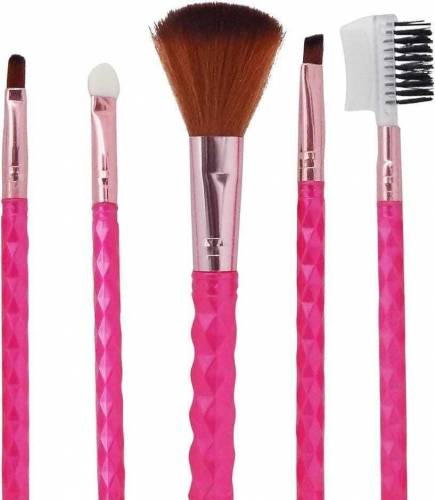 5 Pcs Makeup Brushes Set