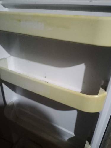 Dowlance farfridge