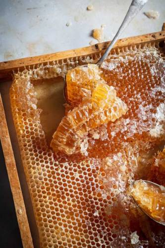 Pure Honey Available 
