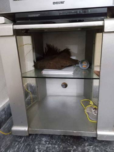 Sony jumbo Size TV with trolley