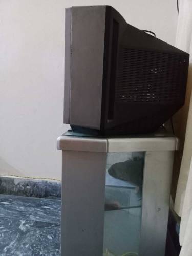 Sony jumbo Size TV with trolley