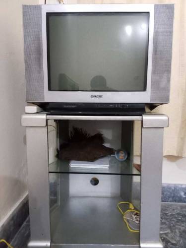 Sony jumbo Size TV with trolley