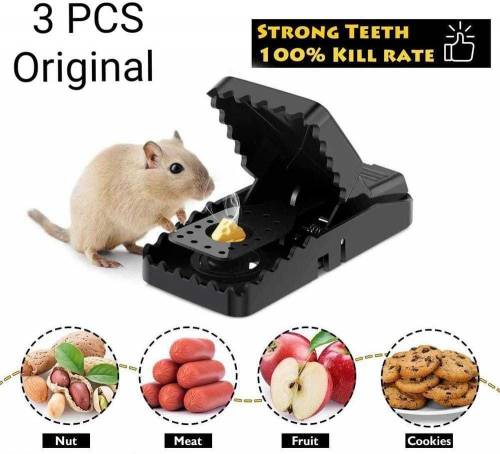 Plastic Mouse Trap - pack of 3 