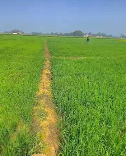 Agricultural land for sale