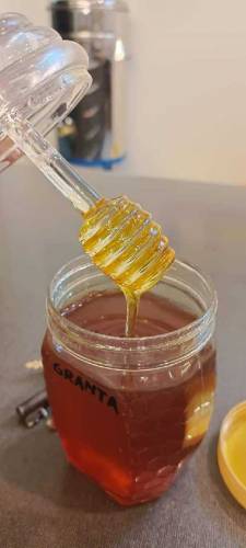 Desert Desi Honey