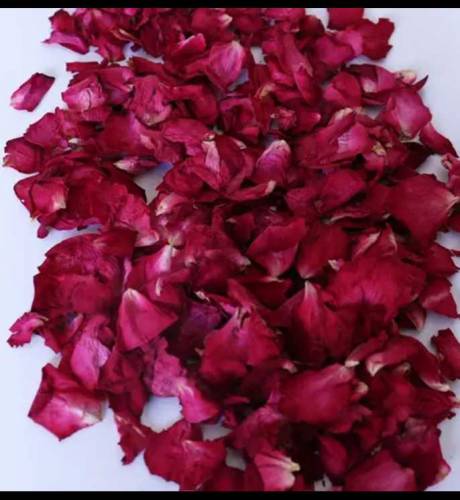 dry red roses