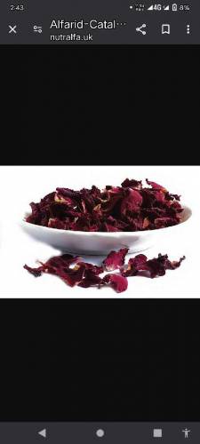 dry red roses