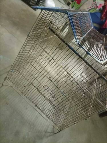 Fancy cage for sale