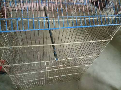 Fancy cage for sale