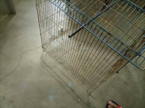 Fancy cage for sale