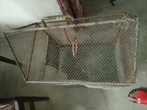 cage for sale full iron strong