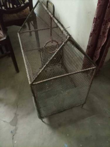 cage for sale full iron strong