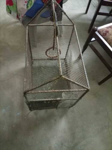cage for sale full iron strong
