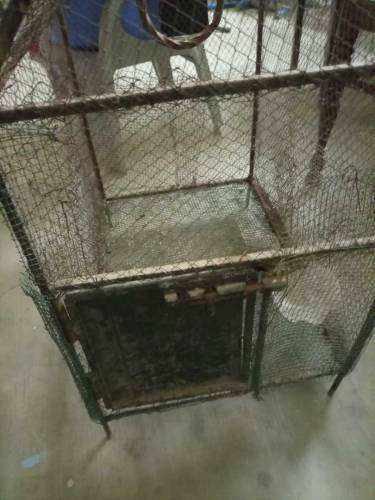 cage for sale full iron strong