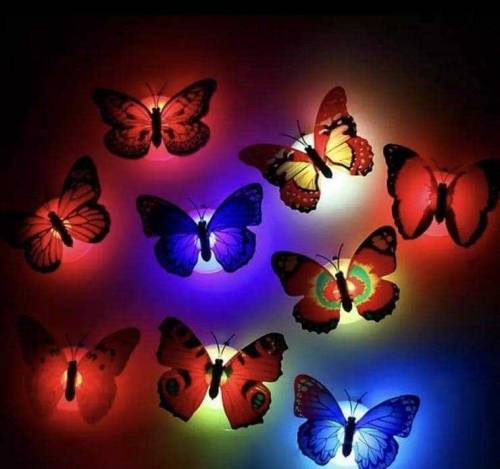 Led Butterfly Night Light 1 Pcs Order to contact my whatsapp number