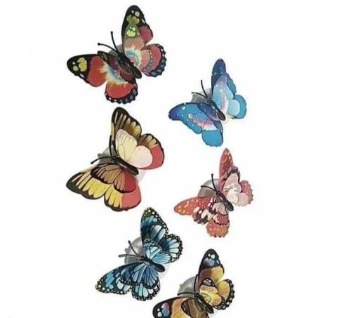 Led Butterfly Night Light 1 Pcs Order to contact my whatsapp number