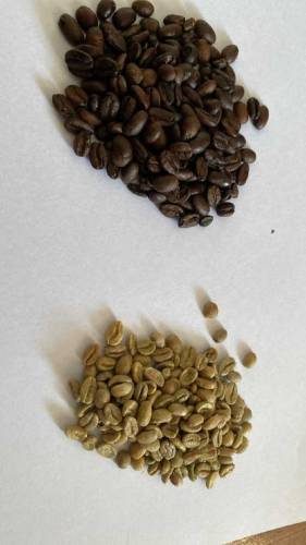 coffee beans Arabica 💯