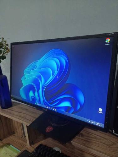 Gaming Monitor Asus 