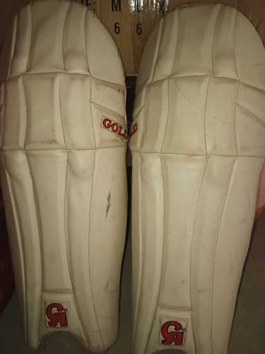 CA cricket pads