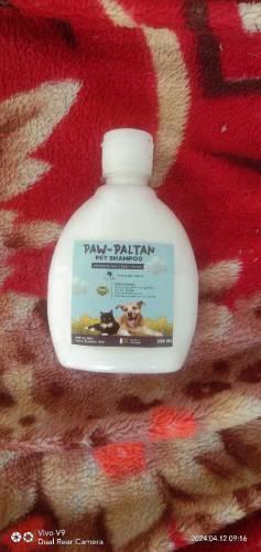 Grace Table Herbal Shampoo