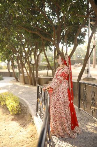 bridal dress Rose red colour