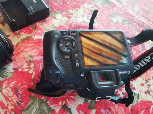 Canon EOS 2000D UAE Imported New Camera hai 