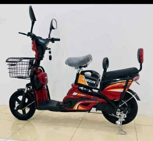 Electric bike 