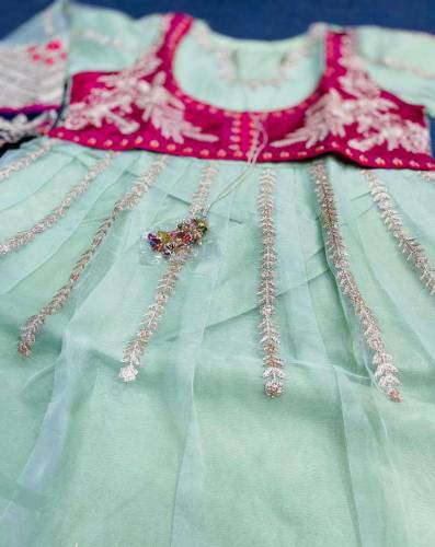 2 PCS women's Stitched Fancy Organza Embroidered Maxi 