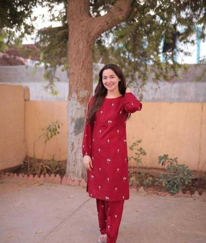 2 pcs women's stitched Linen Embroidered suit with free home delivery