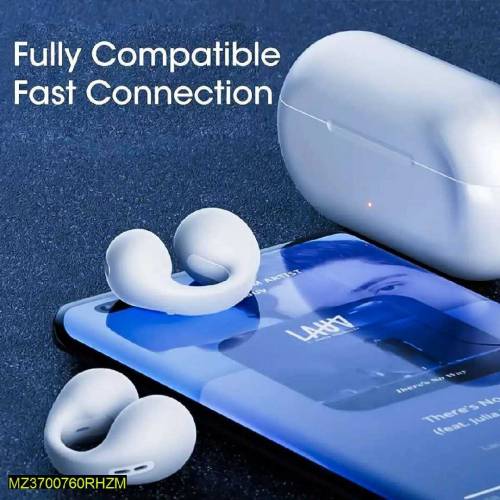 Wireless earbuds 
