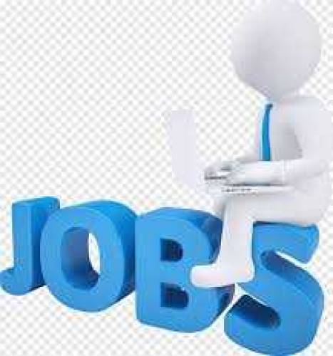 urgent staff required for Office Management 