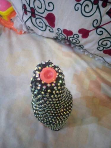 dauorision botal
