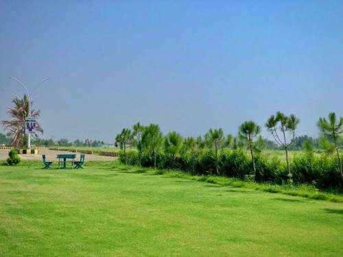 pearl City Mardan 3 Year nstallment payment plan 
