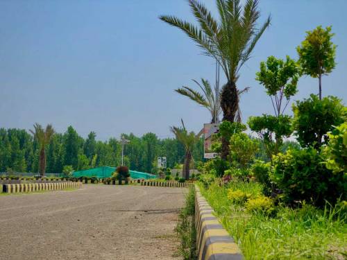 pearl City Mardan 3 Year nstallment payment plan 