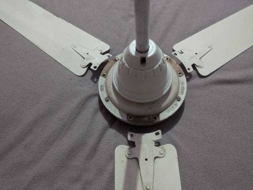 Ceiling Fan 