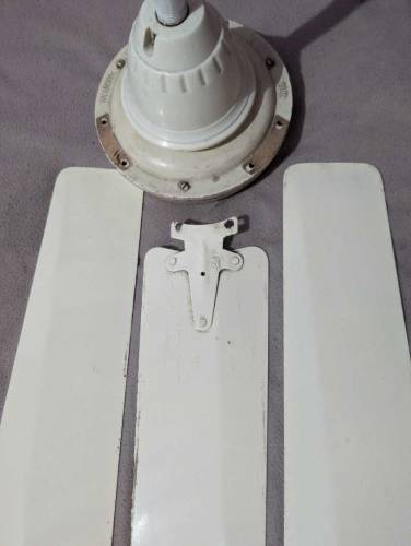 Ceiling Fan 